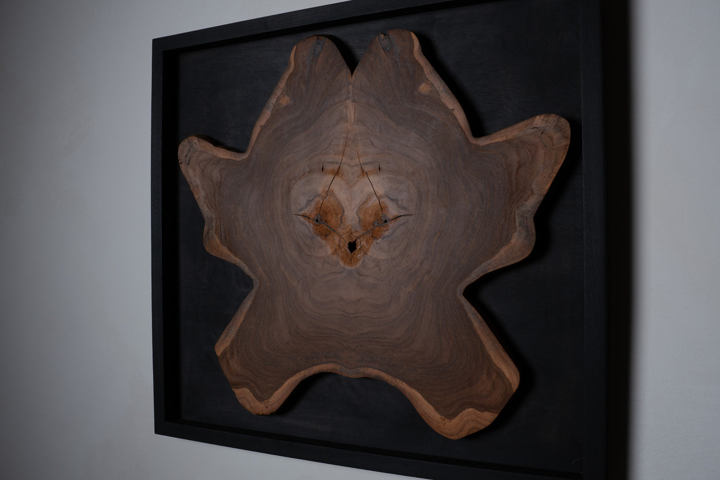 Bookmatched Teak Wall Art – Handmade Wood Art Piece