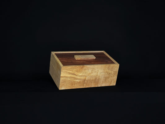 Watch Box